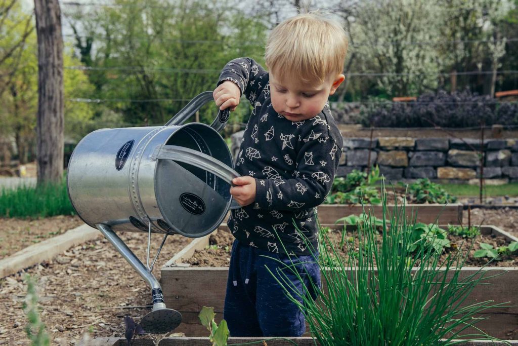 How Does Your Family Grow? Easy Tips to Grow A Vegetable Garden With Your Kids