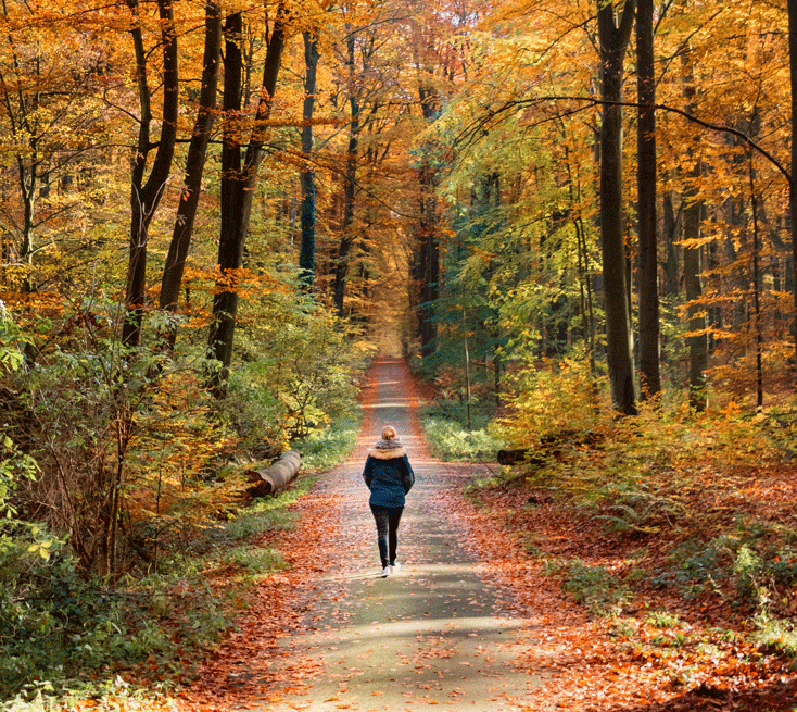 Step into a Healthier You: The Wonders of Walking