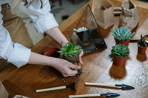 10 EASY WAYS TO CELEBRATE EARTH DAY 2024