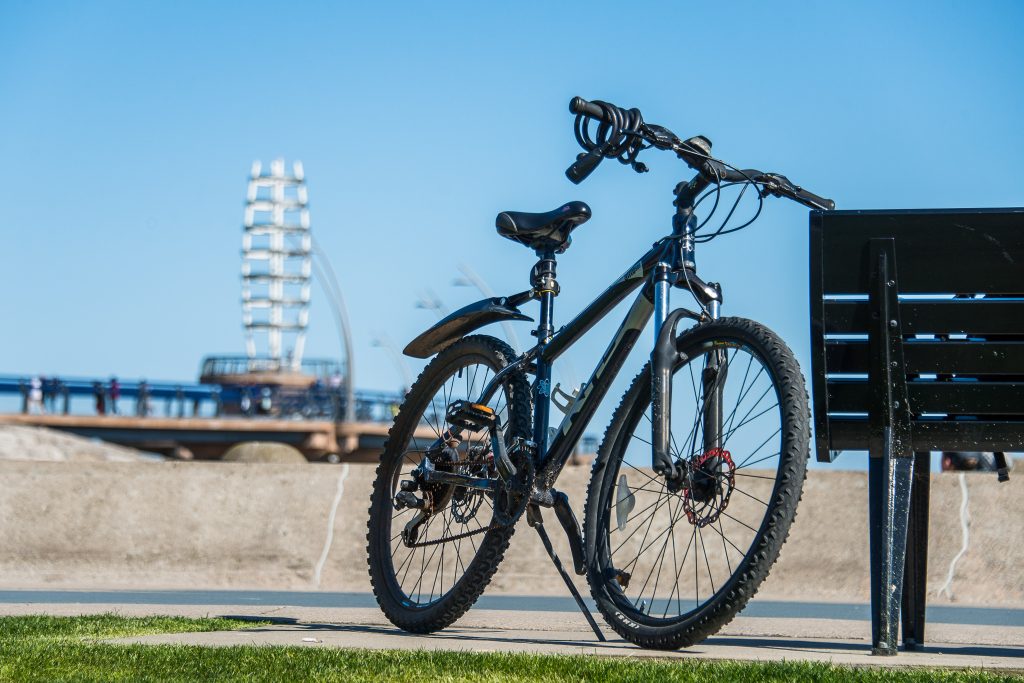 Choose Your Path: Pedal Your Way To Family Fun