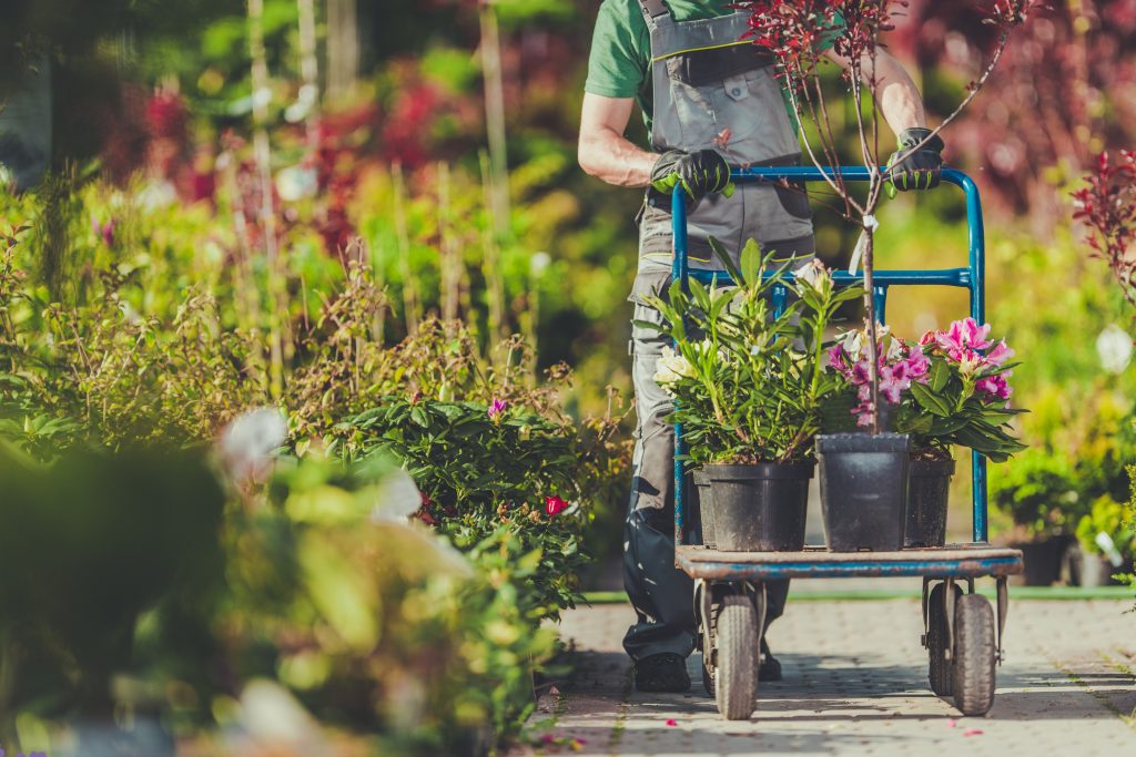 Shop Local: Summer Backyard Essentials!