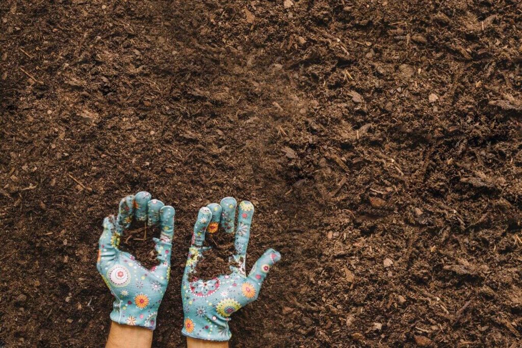 Less is more: Earth-friendly tips for spring gardening