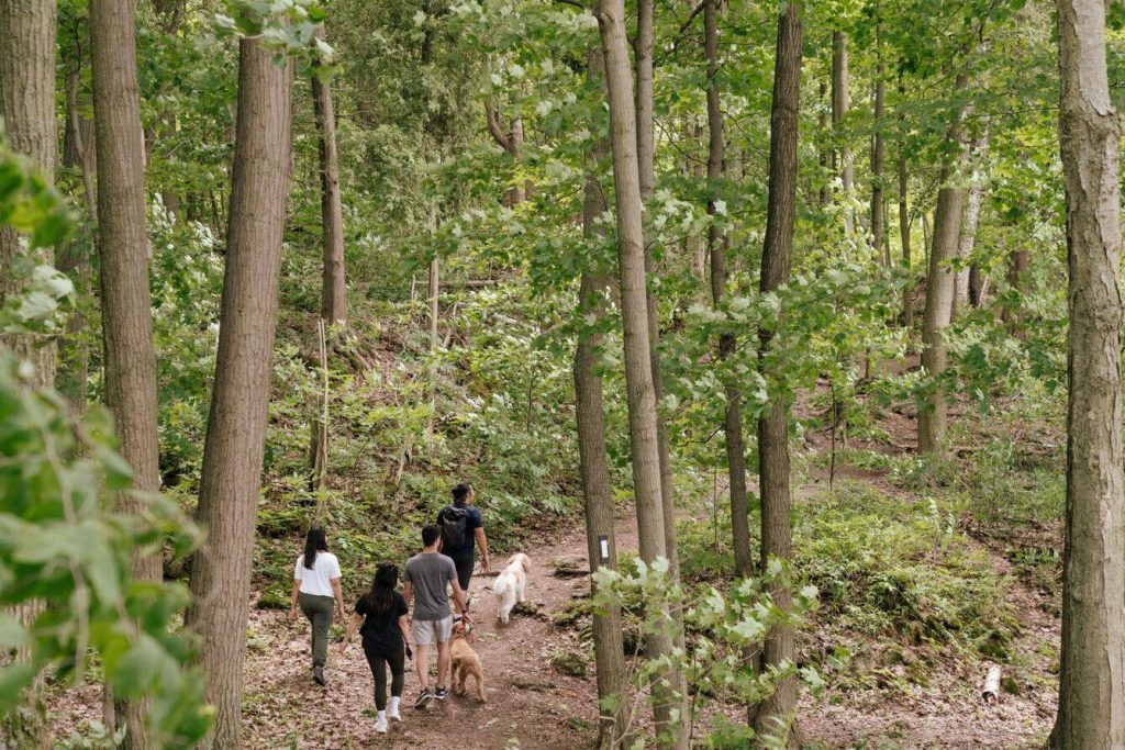 The World’s Prettiest Gym: Fall in Love with Hiking